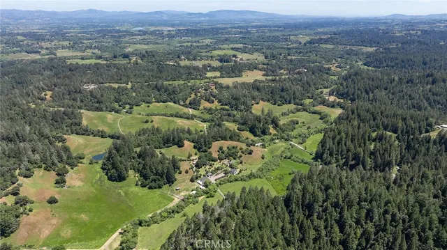 a view of a lush green forest with a house