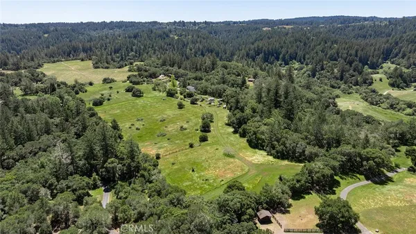 a view of a lush green forest with trees in the background