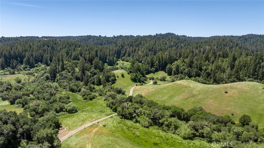 12760 Green Valley Road Sebastopol, CA 95472 - Photo 31 of 48 a view of a lush green forest with trees in the background