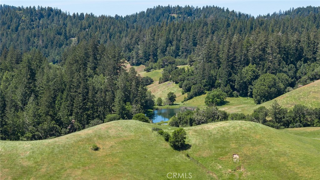 12760 Green Valley Road Sebastopol, CA 95472 - Photo 34 of 48 a view of a yard