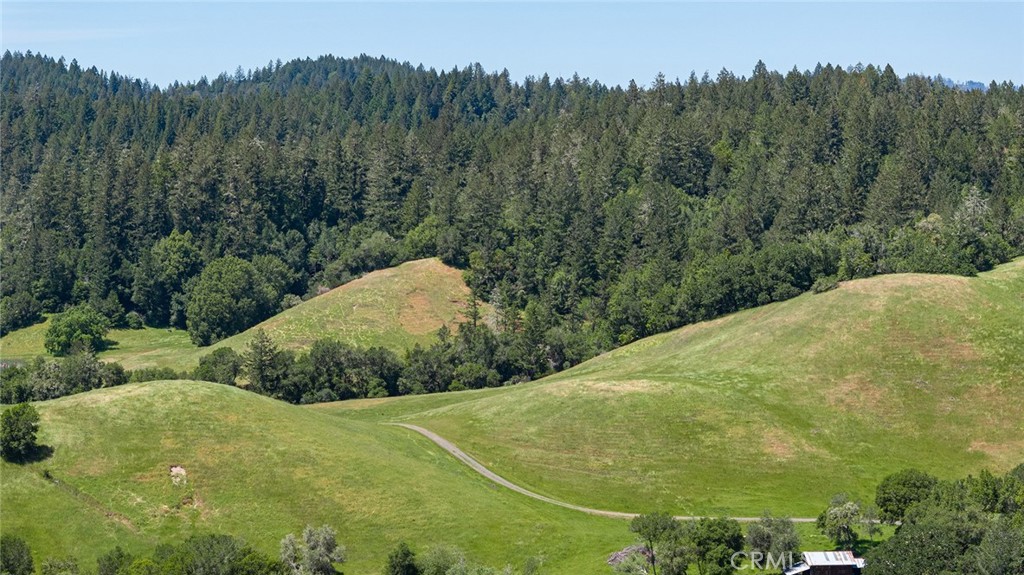 12760 Green Valley Road Sebastopol, CA 95472 - Photo 35 of 48 a view of a field with a tree in the background
