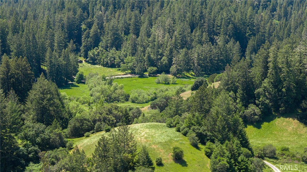 12760 Green Valley Road Sebastopol, CA 95472 - Photo 37 of 48 a view of a green yard with large trees