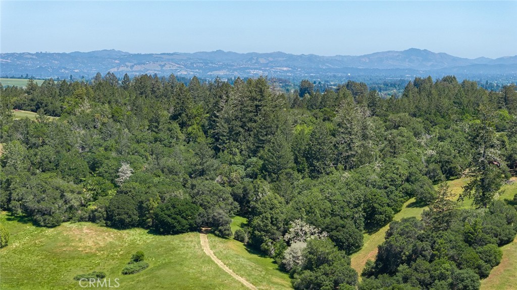 12760 Green Valley Road Sebastopol, CA 95472 - Photo 38 of 48 a view of a lush green hillside and a mountain view