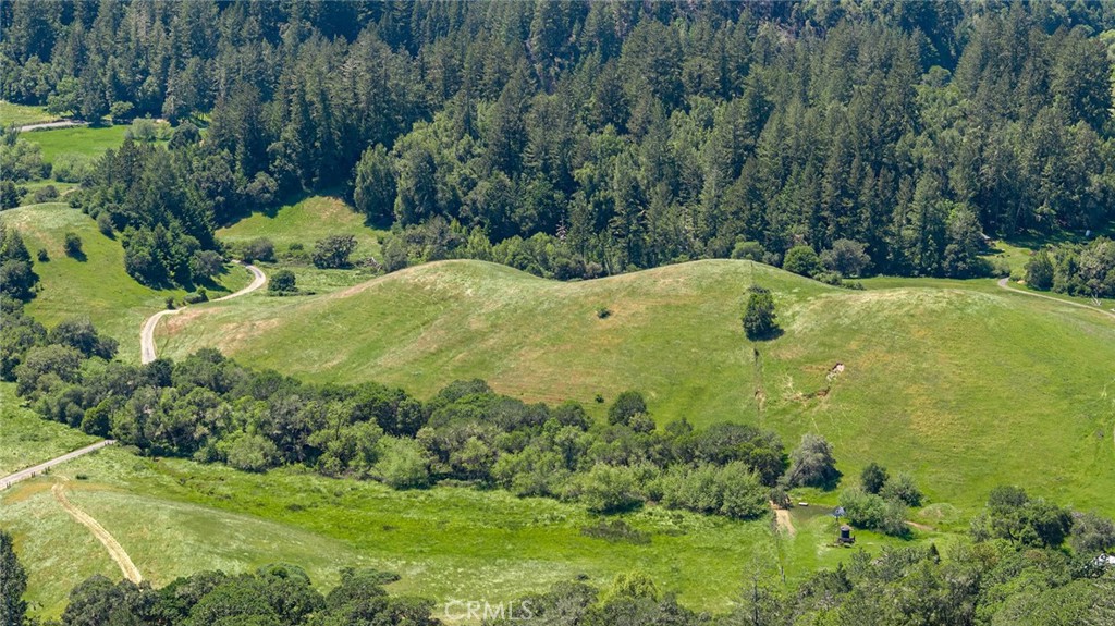 12760 Green Valley Road Sebastopol, CA 95472 - Photo 39 of 48 a view of a trees with a yard