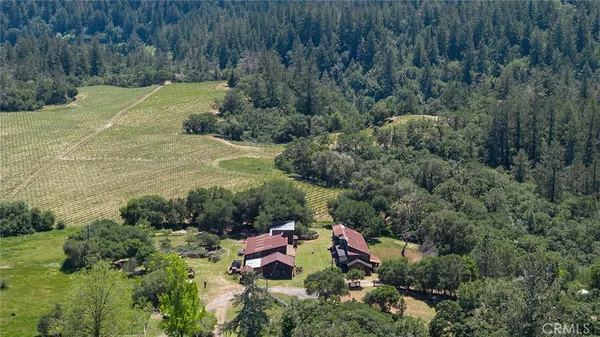 a view of a forest with a houses