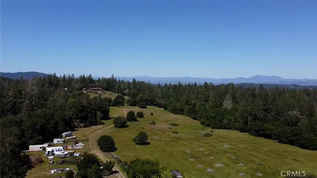 a view of a lush green outdoor space with a lake view