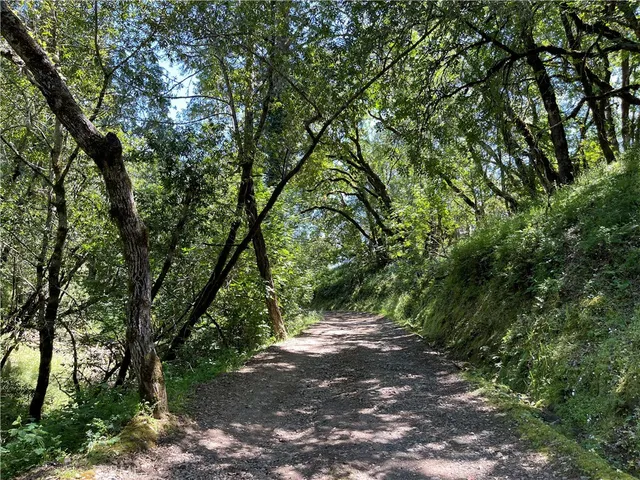 a view of a field with a tree in the background