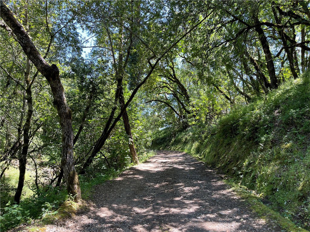 12760 Green Valley Road Sebastopol, CA 95472 - Photo 8 of 48 a view of an outdoor space with yard