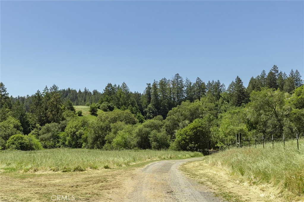 12760 Green Valley Road Sebastopol, CA 95472 - Photo 9 of 48 a view of a field with a tree in the background