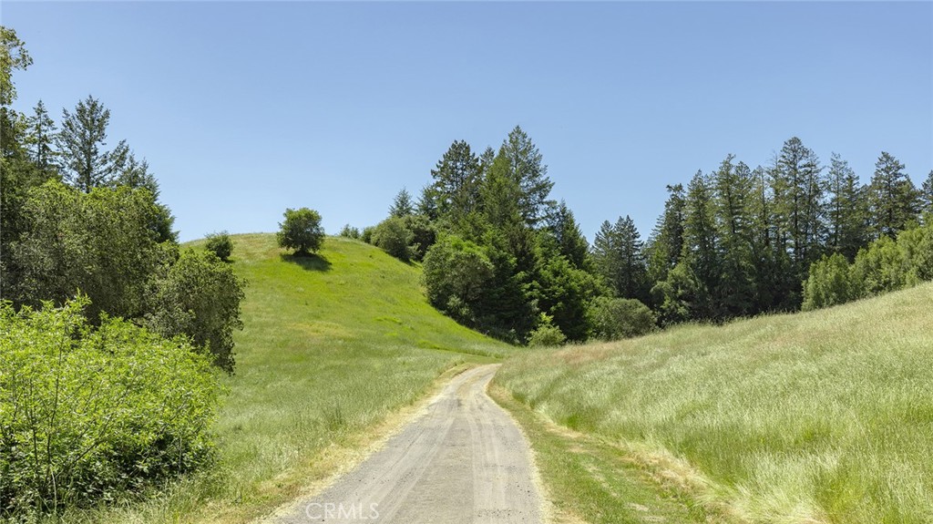 12760 Green Valley Road Sebastopol, CA 95472 - Photo 10 of 48 a view of a yard