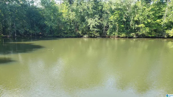 $599,000 | 800 Airport Road, Unit 1, Clanton, AL 35045