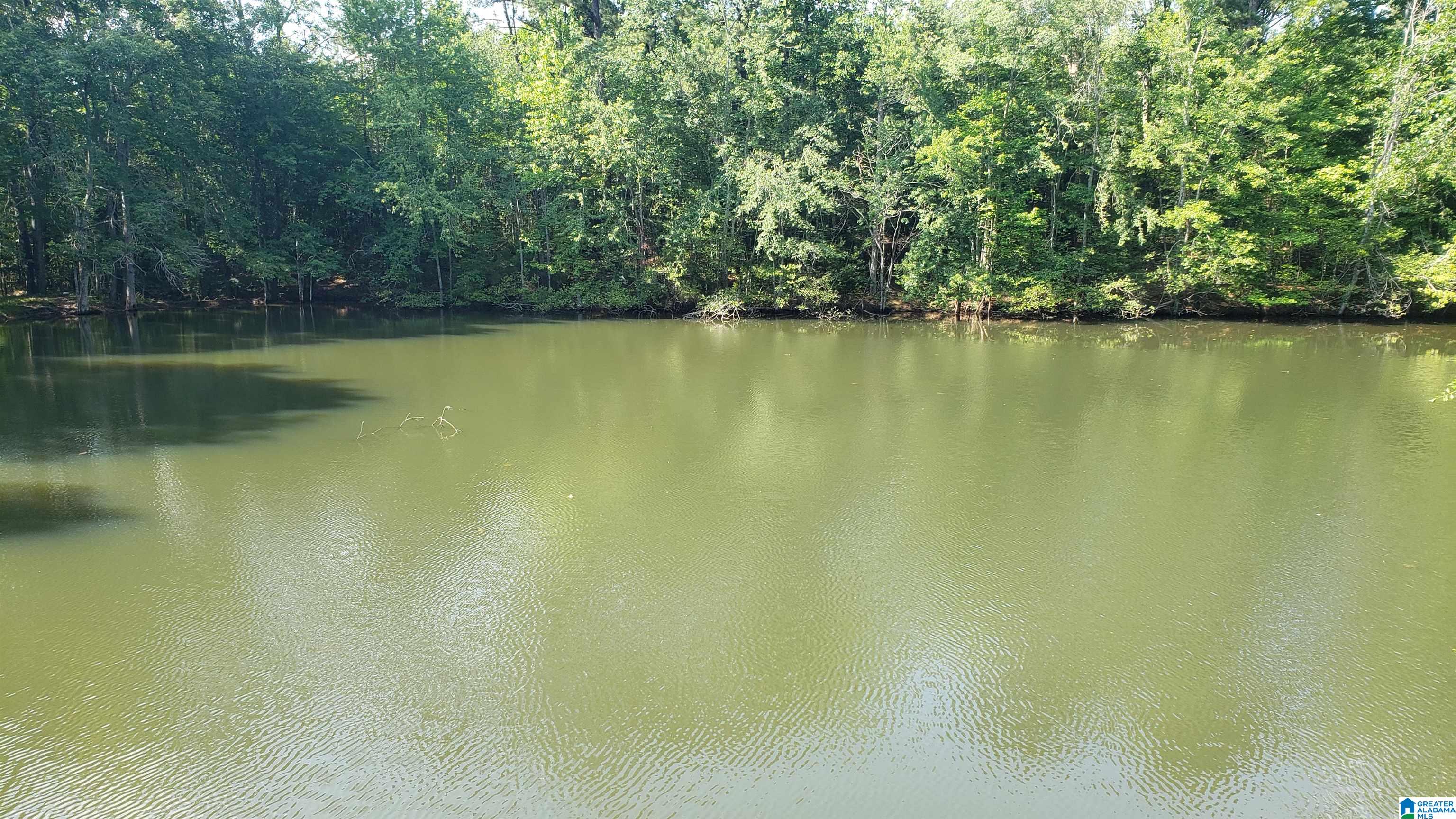 800 Airport Road, Unit 1 Clanton, AL 35045 - Photo 1 of 5