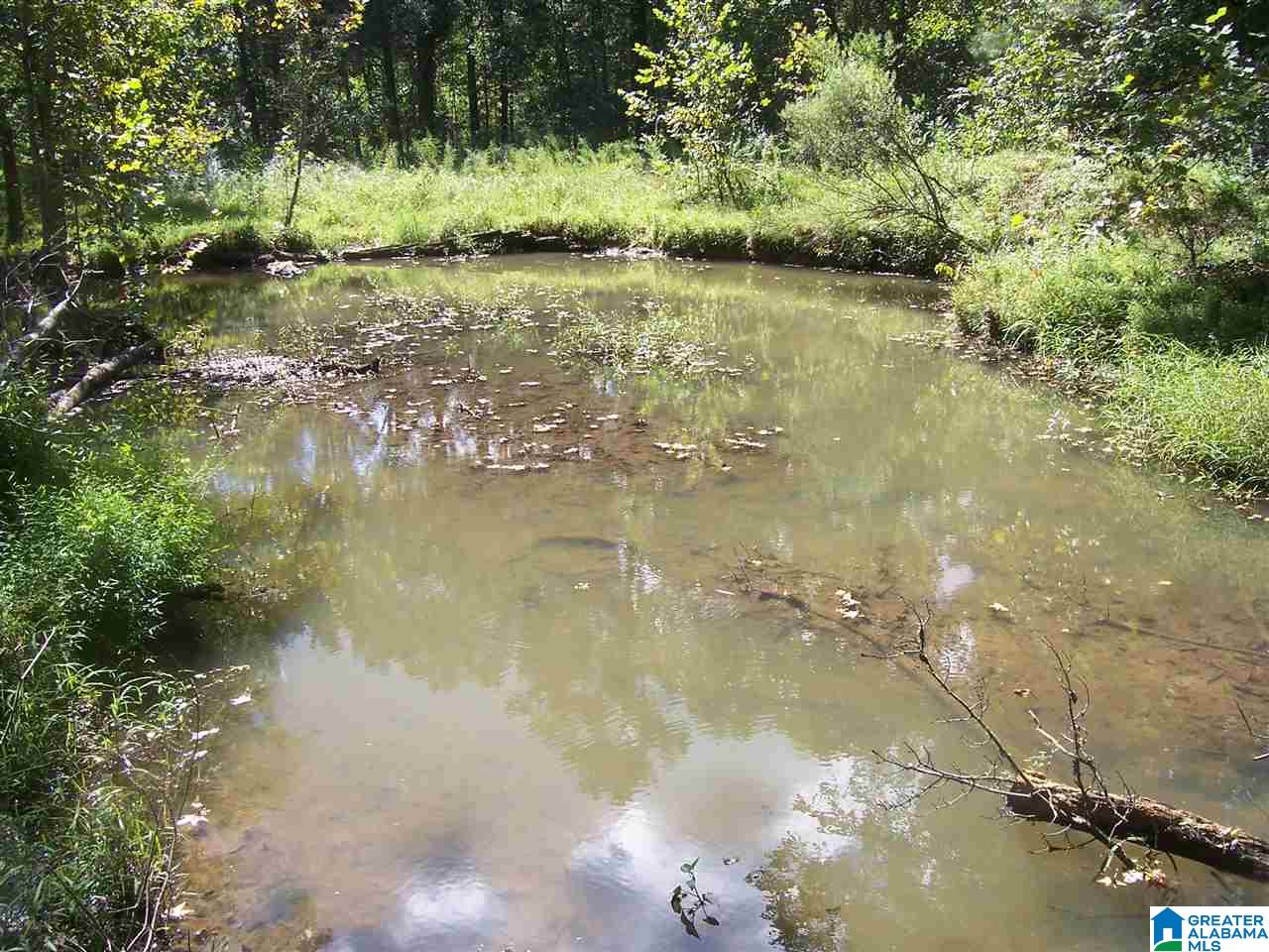 1 Hilton Road, Unit 57 ACRES Columbiana, AL 35051 - Photo 16 of 16