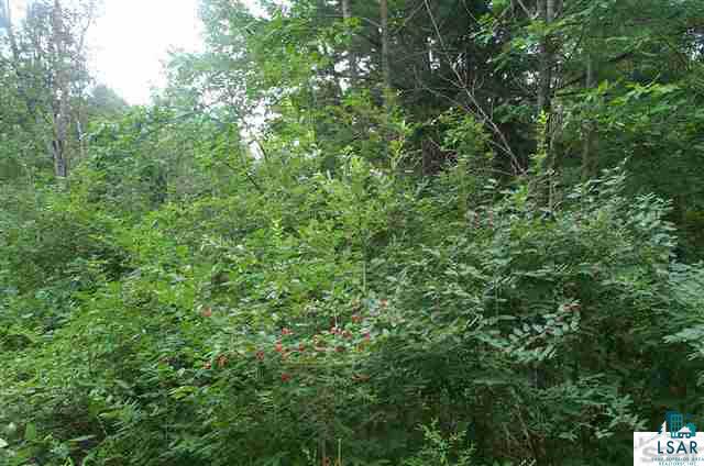 4 Se1/4 Polich Road Mason, WI 54856 - Photo 1 of 12
