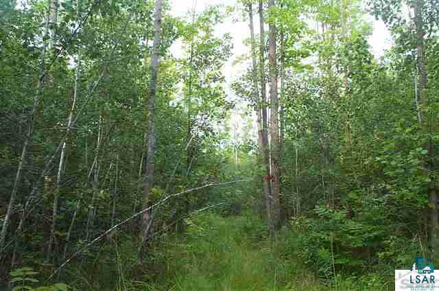 4 Se1/4 Polich Road Mason, WI 54856 - Photo 11 of 12