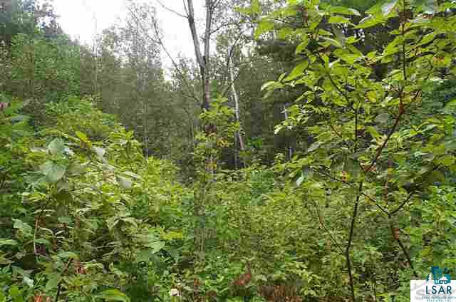 4 Se1/4 Polich Road Mason, WI 54856 - Photo 2 of 12