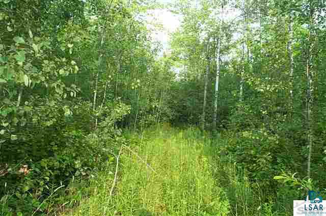 4 Se1/4 Polich Road Mason, WI 54856 - Photo 9 of 12