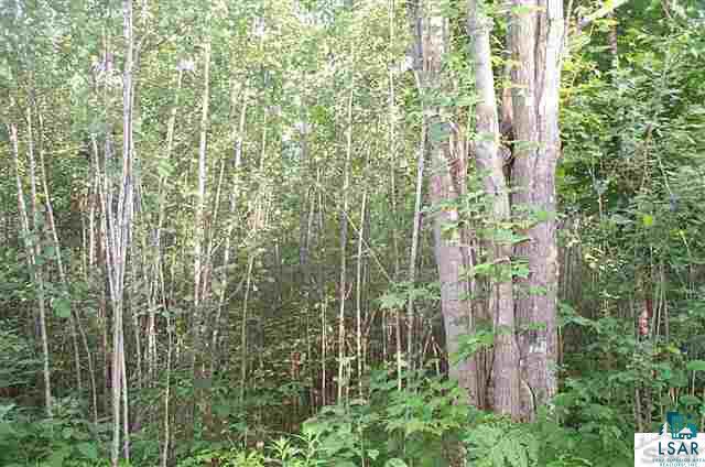 4 Se1/4 Polich Road Mason, WI 54856 - Photo 10 of 12