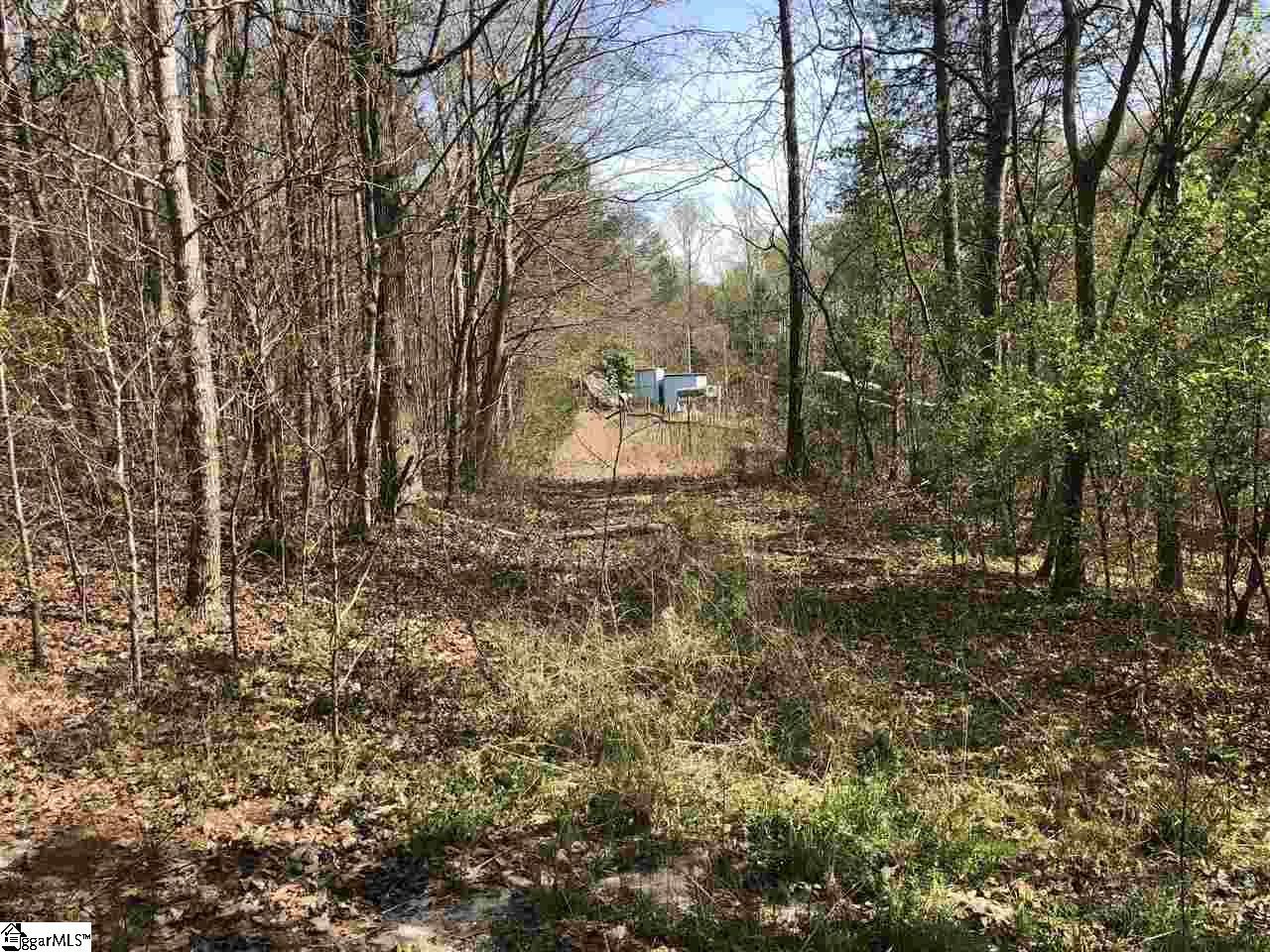 0 Reedy Fork Road Greenville, SC 29605 - Photo 2 of 9