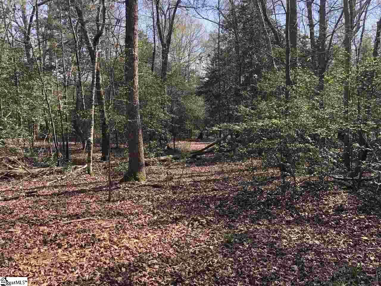 0 Reedy Fork Road Greenville, SC 29605 - Photo 3 of 9