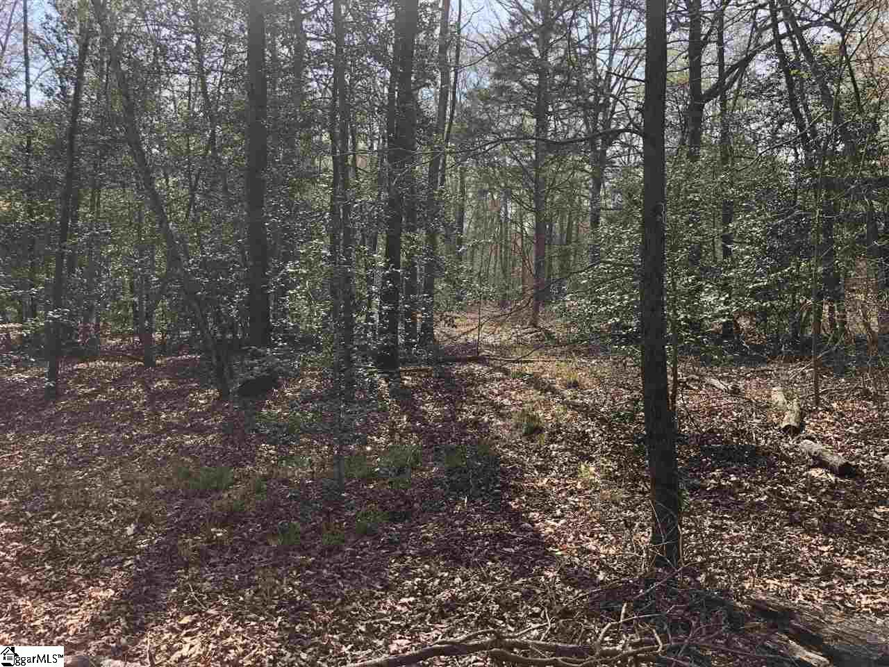 0 Reedy Fork Road Greenville, SC 29605 - Photo 4 of 9