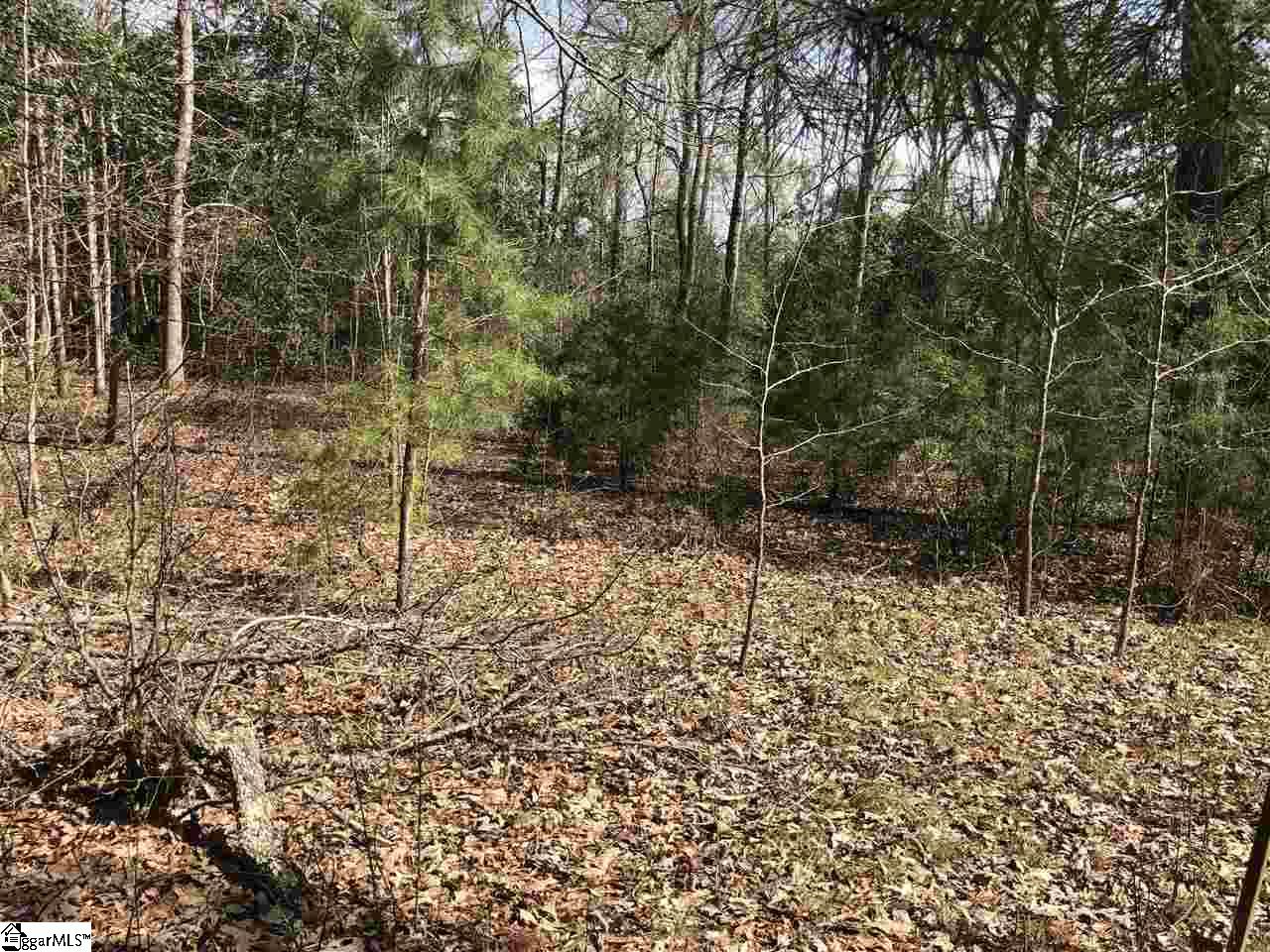 0 Reedy Fork Road Greenville, SC 29605 - Photo 5 of 9