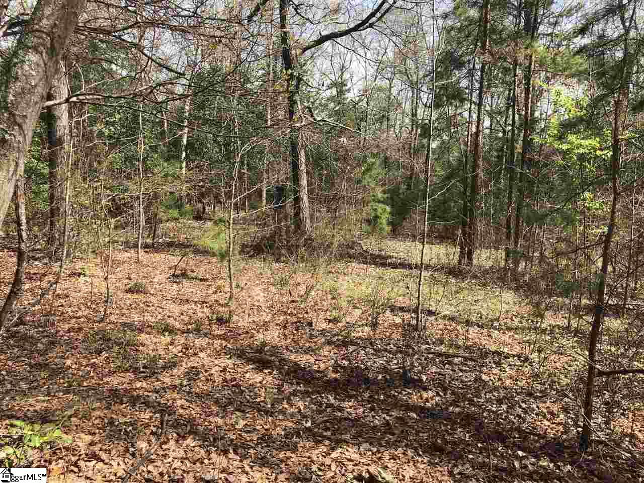 0 Reedy Fork Road Greenville, SC 29605 - Photo 6 of 9