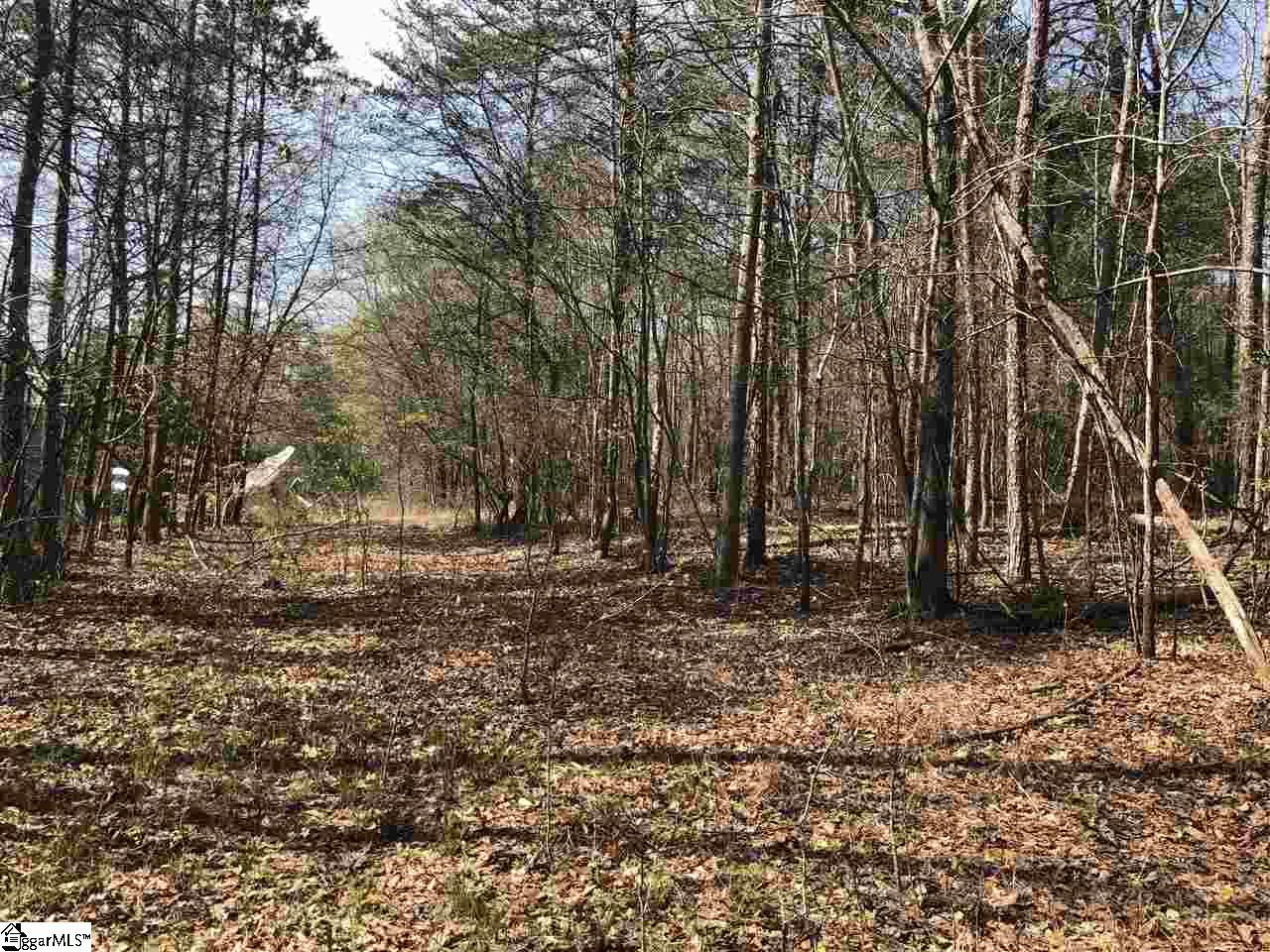 0 Reedy Fork Road Greenville, SC 29605 - Photo 7 of 9