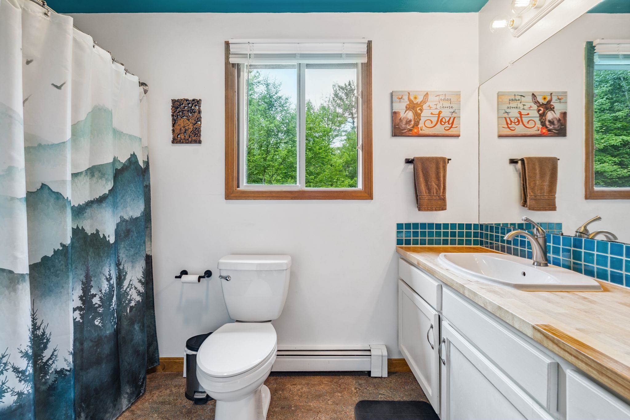 41 Bald Mountain Road Rumney, NH 03266 - Photo 20 of 46