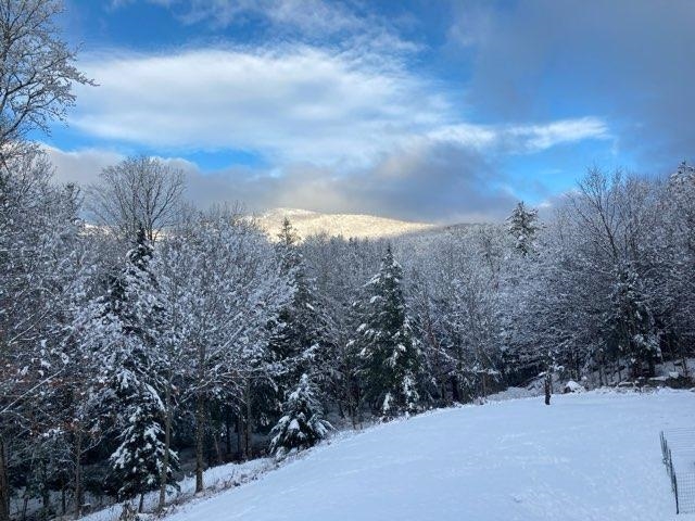 41 Bald Mountain Road Rumney, NH 03266 - Photo 46 of 46