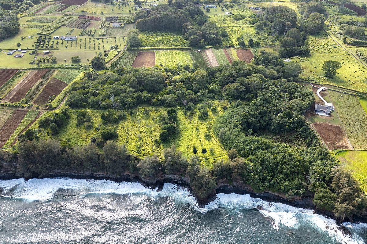 28-110 Kulaimano Homestead Road Pepeekeo, HI 96783 - Photo 4 of 13