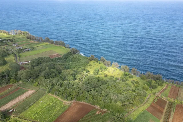 a view of a houses with a lush green space