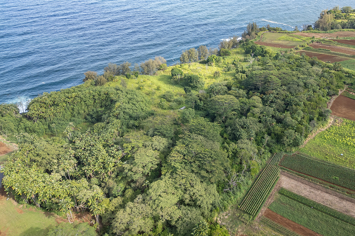 28-110 Kulaimano Homestead Road Pepeekeo, HI 96783 - Photo 7 of 13