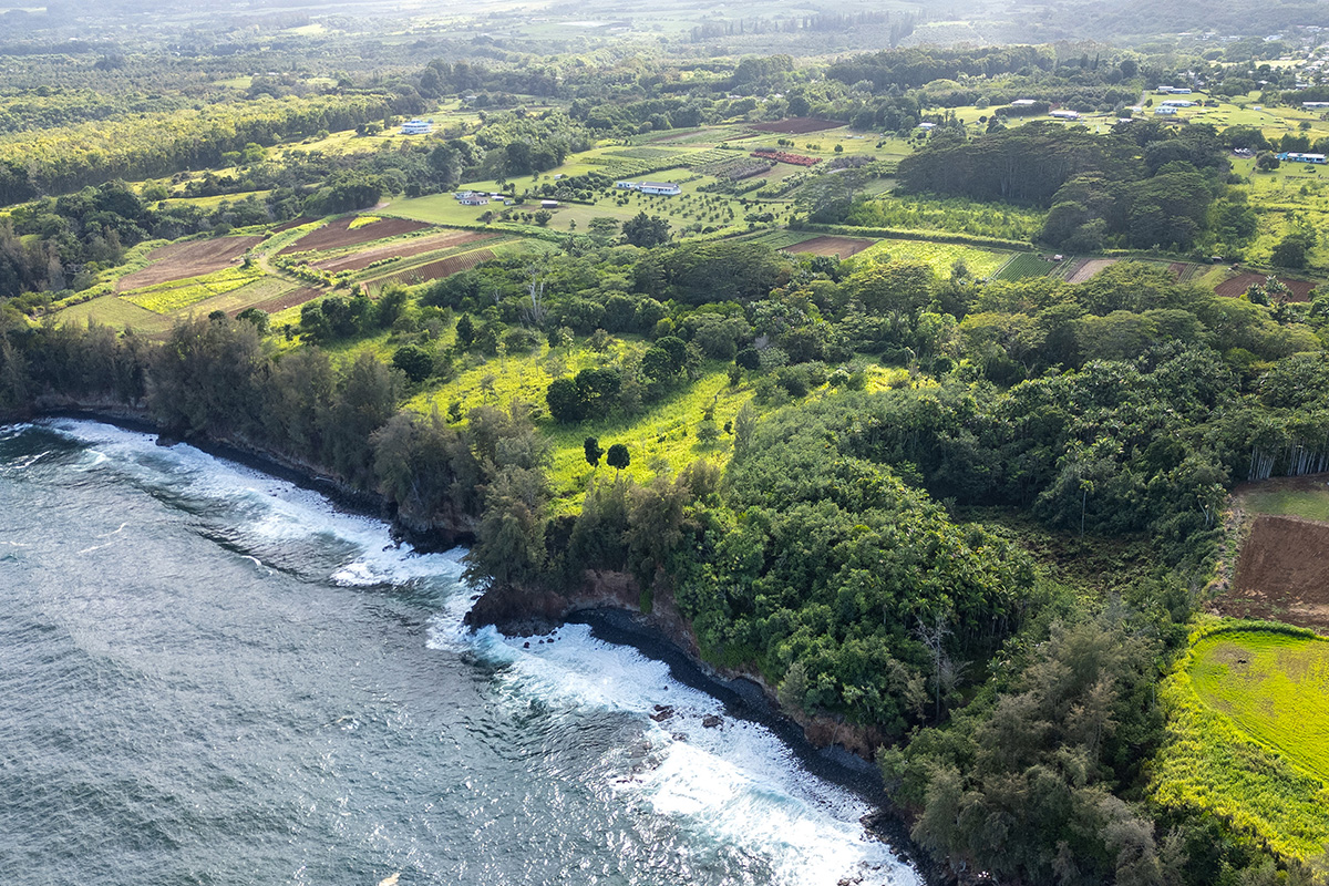 28-110 Kulaimano Homestead Road Pepeekeo, HI 96783 - Photo 9 of 13