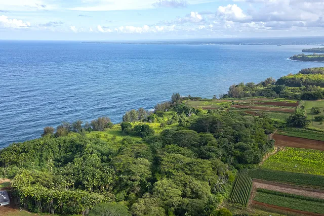 a view of a green field