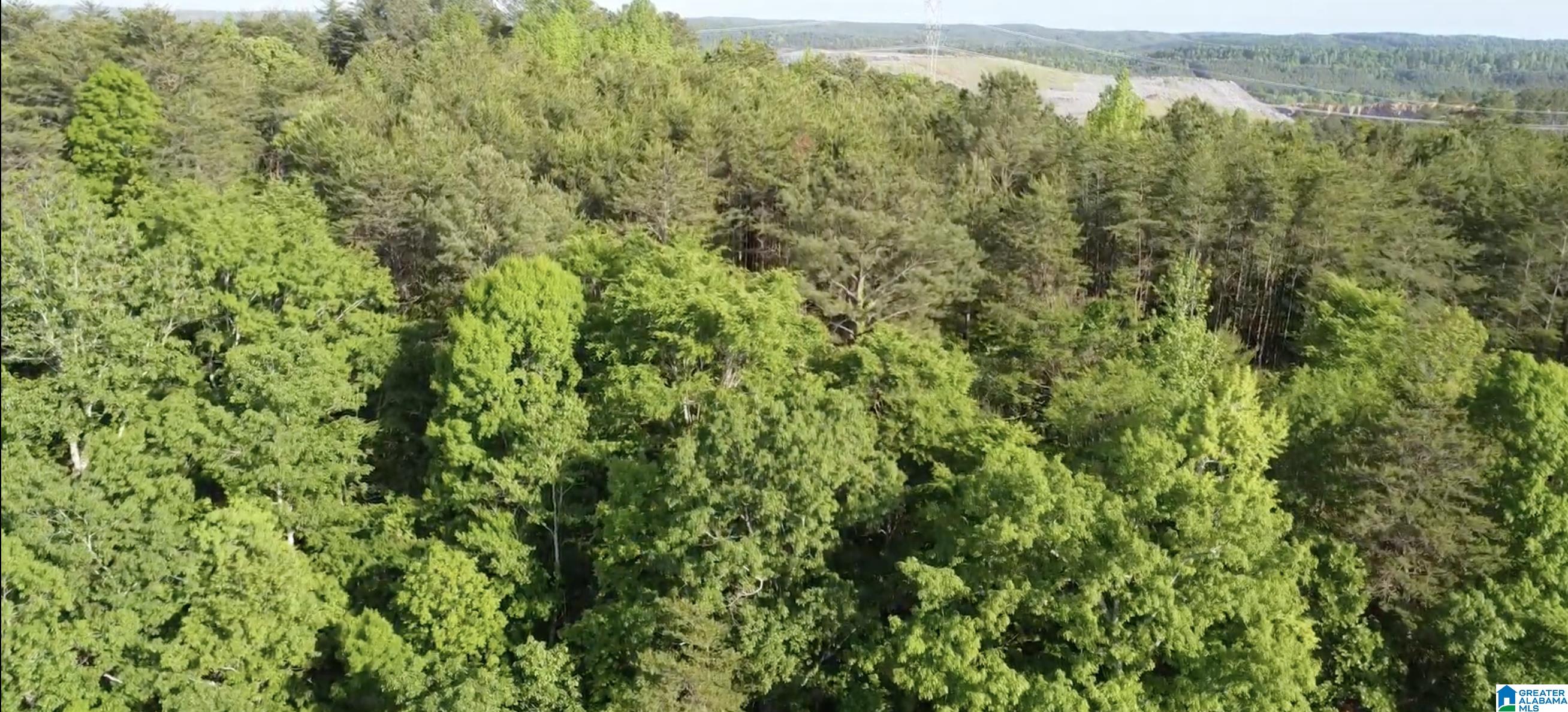 7951 River Road Dora, AL 35062 - Photo 26 of 28