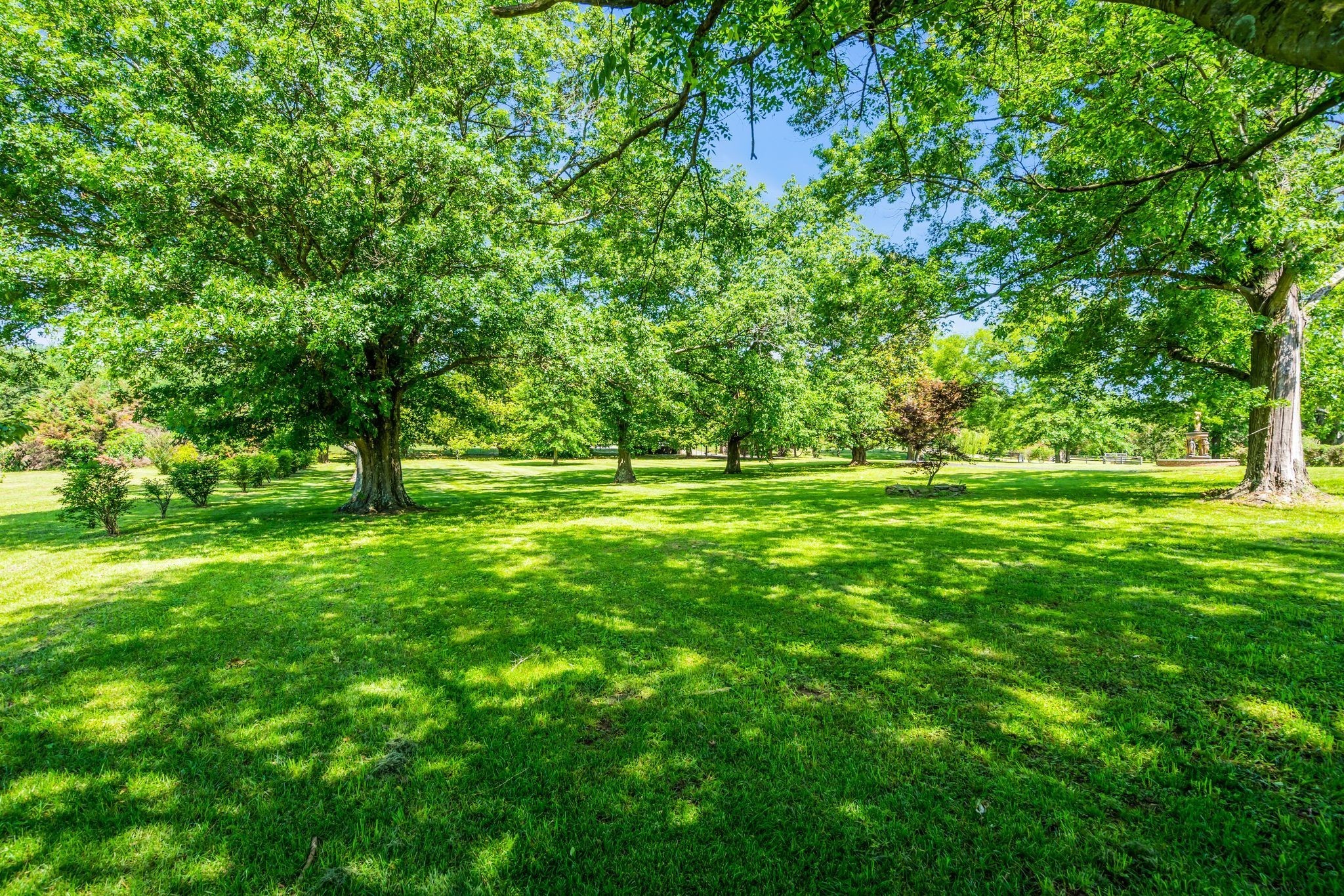 1112 Franklin Road Brentwood, TN 37027 - Photo 25 of 68 a grassy field with trees in the background