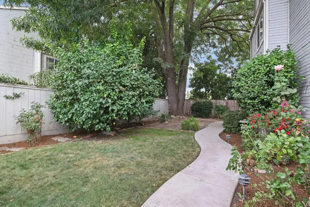 a view of a garden with large trees