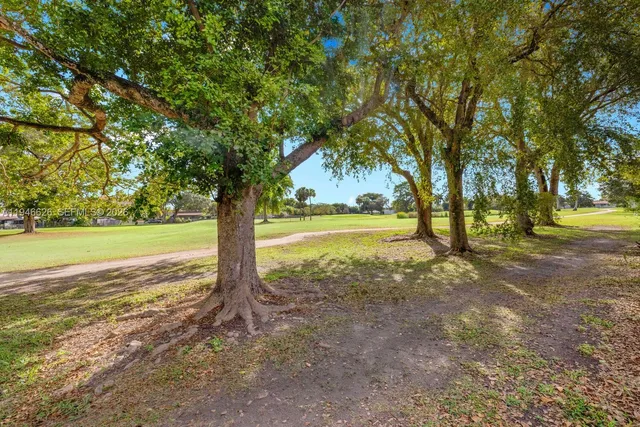 a view of a yard with an tree