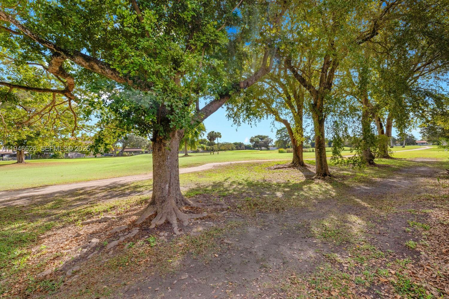 13121 Southwest 95th Avenue Miami, FL 33176 - Photo 24 of 41 a view of a yard with an tree