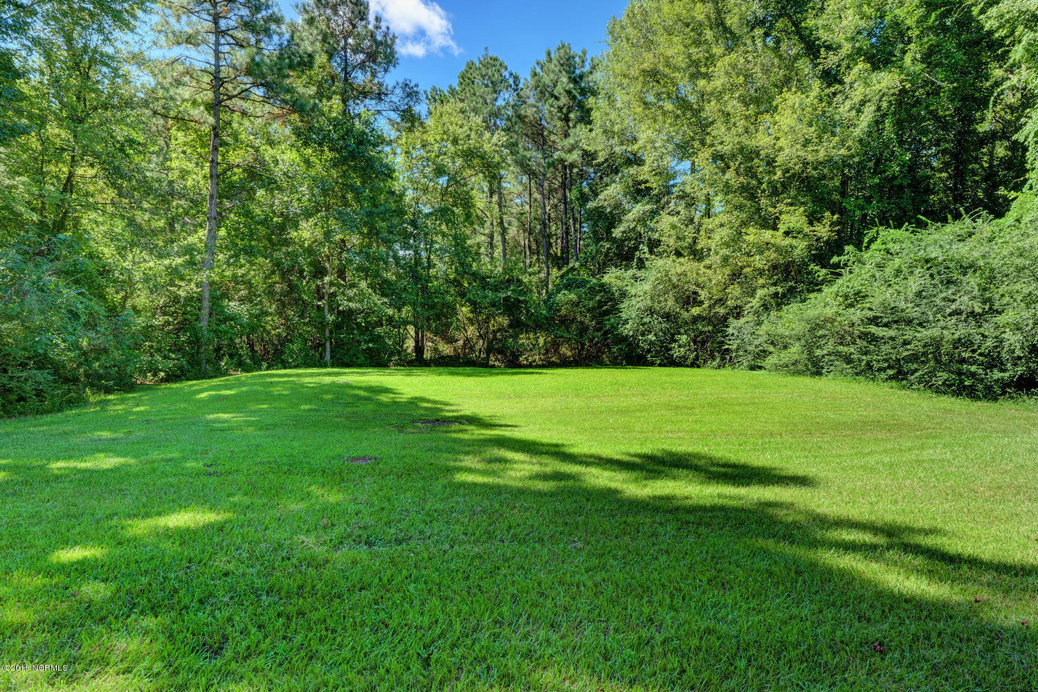 1288 New Road Burgaw, NC 28425 - Photo 22 of 23 1288 New Rd Burgaw NC 28425-large-024-20