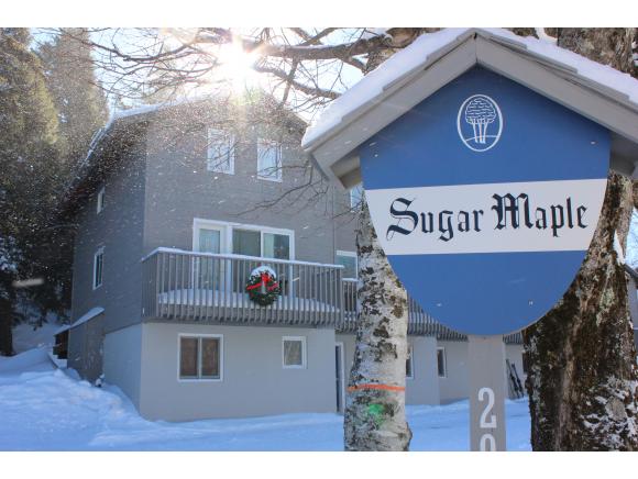 3 Sugar Maple, Unit 3 Winhall, VT 05340 - Photo 1 of 15
