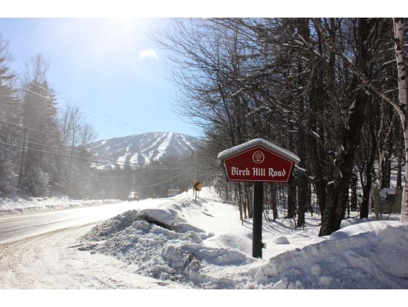 3 Sugar Maple, Unit 3 Winhall, VT 05340 - Photo 2 of 15