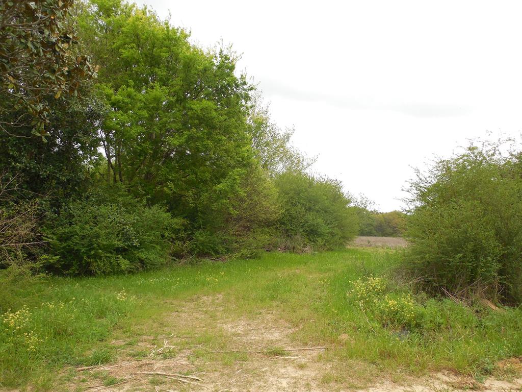 2 Acres Dothan Al Dothan, AL 36301 - Photo 1 of 1
