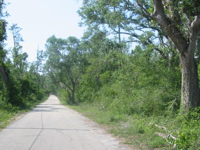 4 A Issac Road Lacombe, LA 70445 - Photo 1 of 3 Gallery Image 1