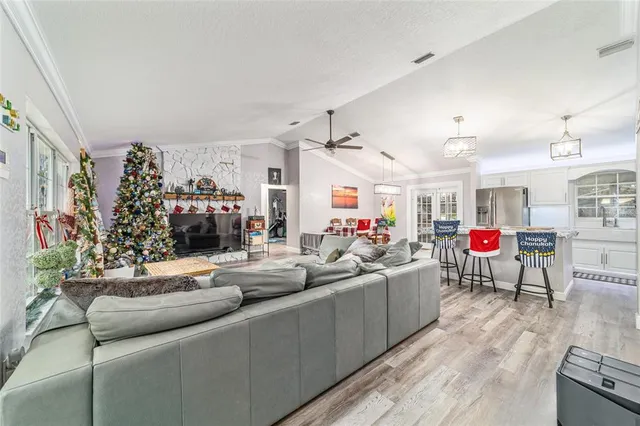 a living room with furniture and a potted plant