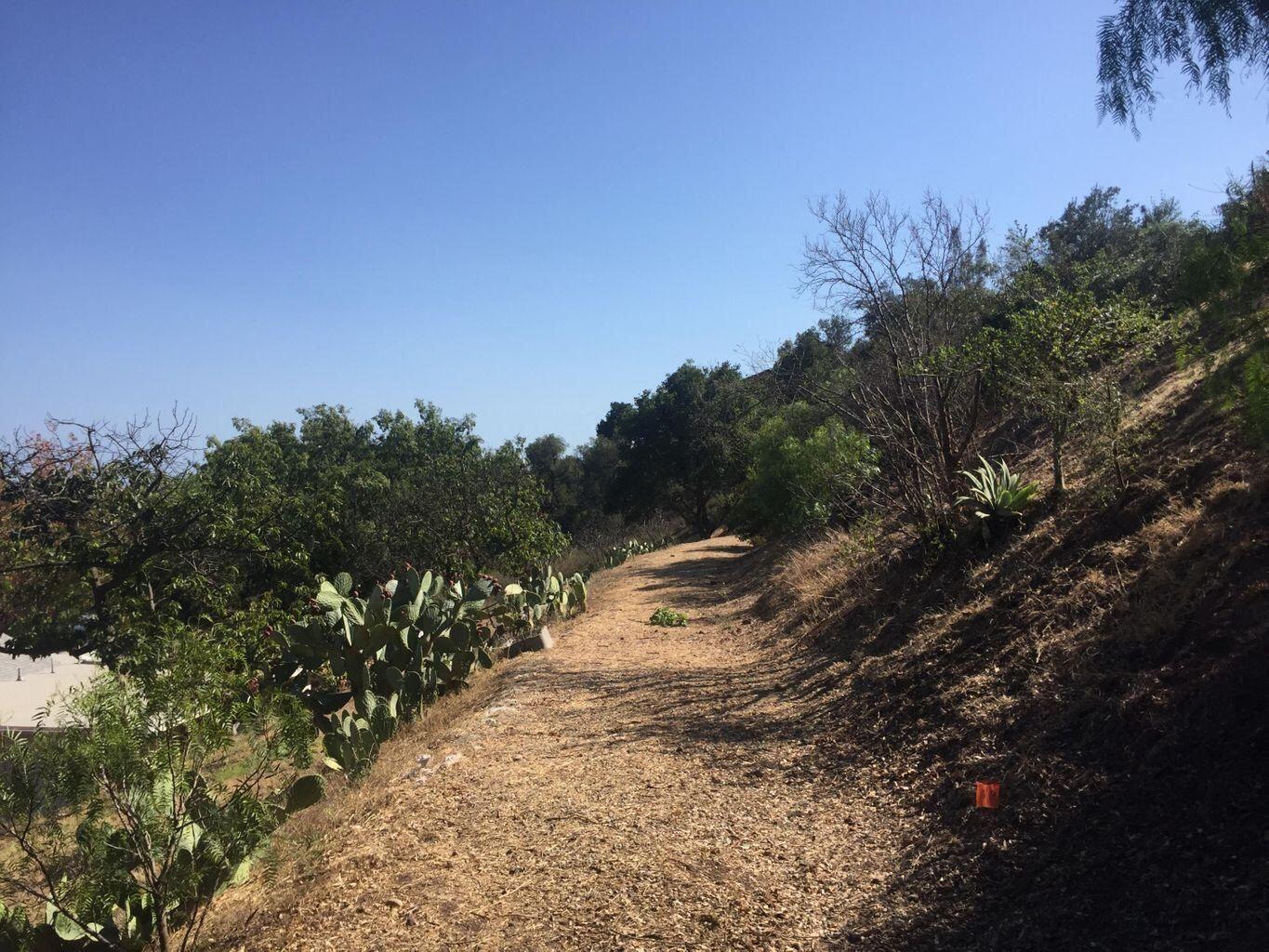 1433 Tunnel Road Santa Barbara, CA 93105 - Photo 6 of 8 20201226184312764847000000-o