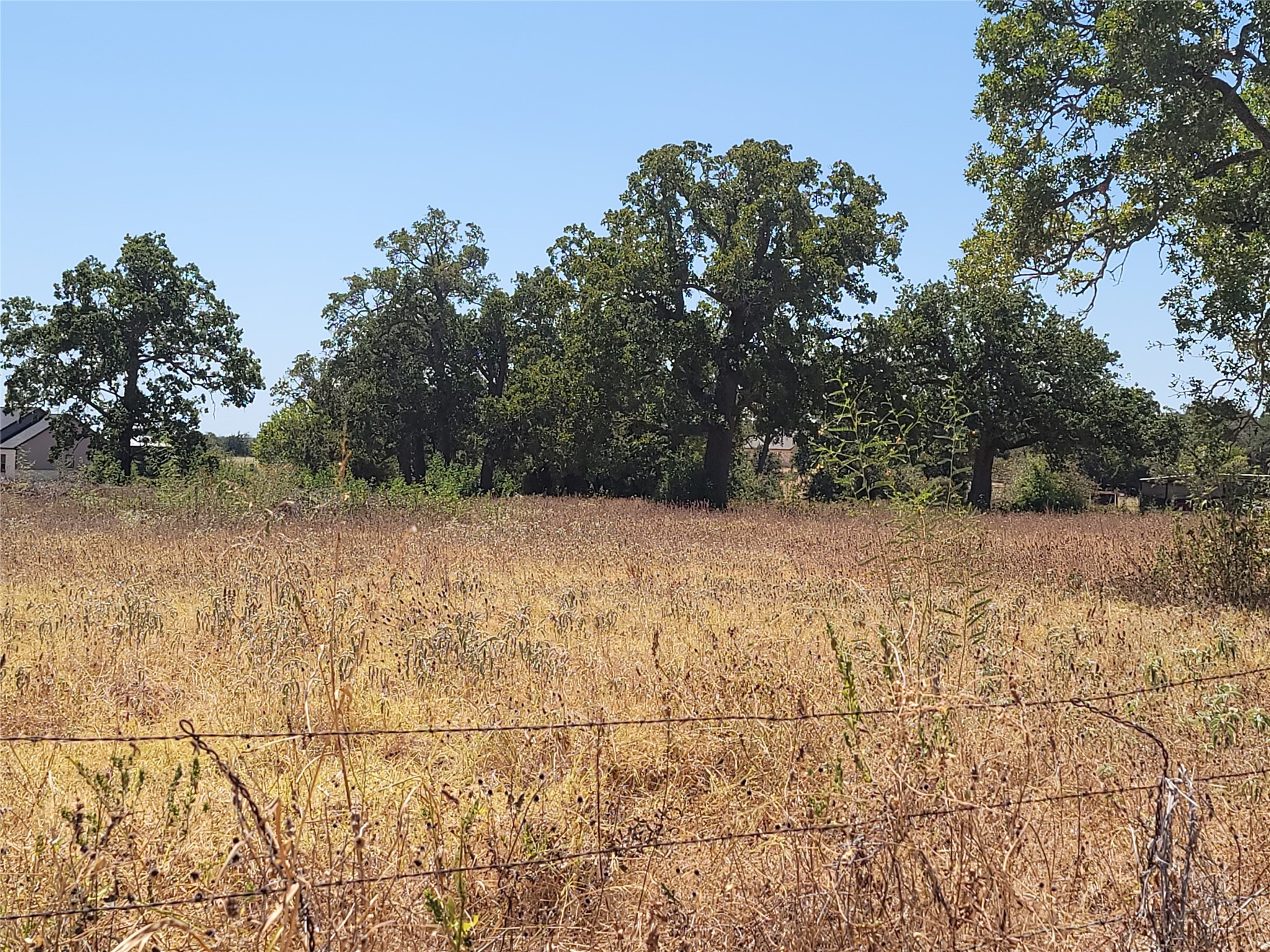 0 Brown Road McDade, TX 78650 - Photo 1 of 10 a view of a yard