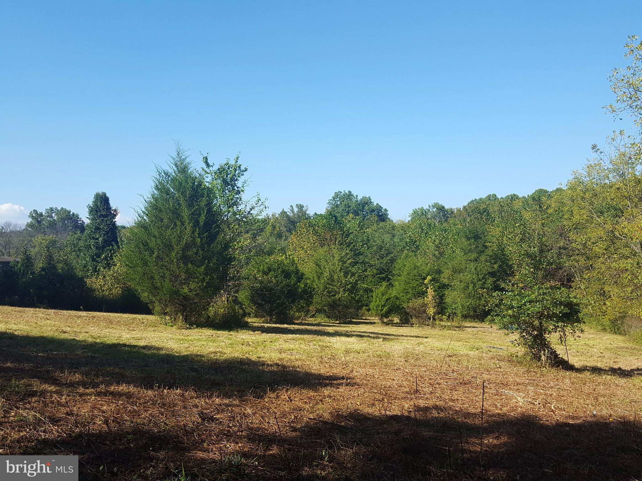 9428 Slate Quarry Road Dickerson, MD 20842 - Photo 3 of 9 a view of a yard with a large tree