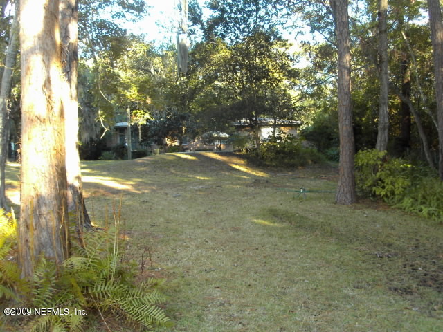 5174 Eulace Road Jacksonville, FL 32210 - Photo 5 of 17 Back yard, facing rear of house